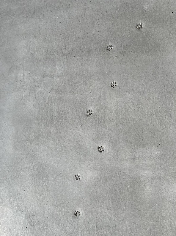 S__38780947